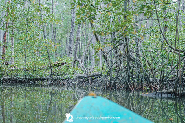 sabang mangrove forest