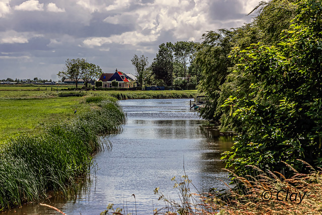 Frysian landscape near Grote Wiske - The Netherlands (0883)