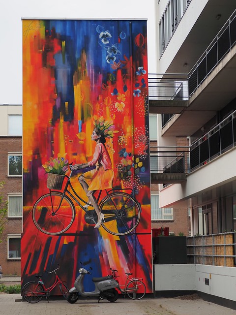 Dutch woman on a bike by Juan Barco