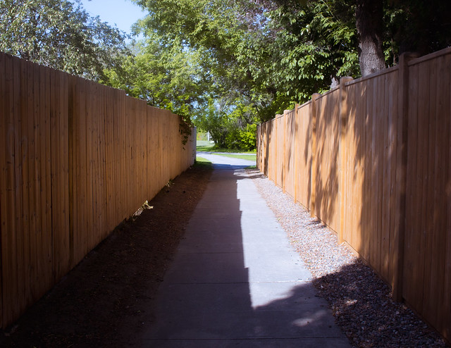 path, shadow