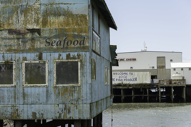 Seafood and Mold, Bay City, Oregon