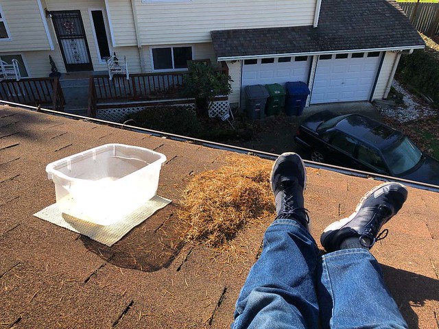Cleaning the roof and gutters... 20191028_0071