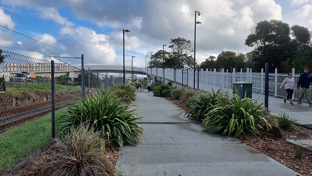 A new turn on the Waterview Shared Path