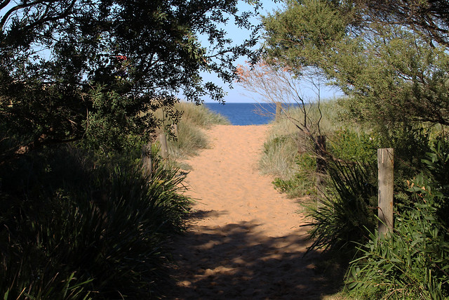 Path to the Beach, Stanwell Park