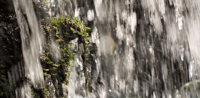 Moss covered rock sticking through the waterfall at Fairy Glen near Parbold West Lancs