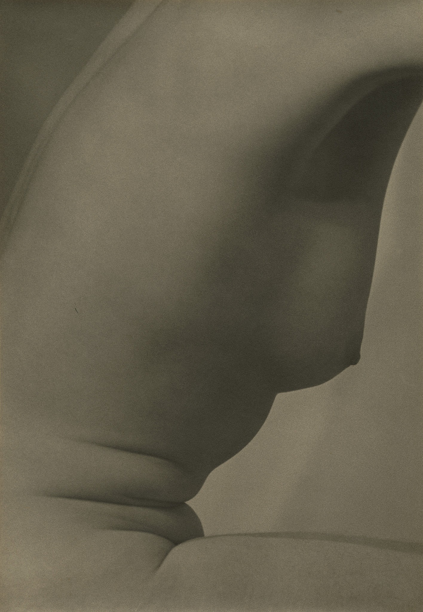 Yvonne Chevalier :: Nu, 1929 Vintage gelatin silver print. from: Hommage à Christian Bouqueret | src Gitterman Gallery
female nude
nude torso
