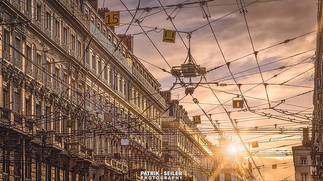 CABLE TANGLE IN LATE SUNLIGHT - Lyon, France