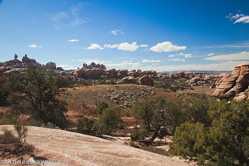Views from The Joint Trail, Needles District, Canyonlands National Park, Utah
