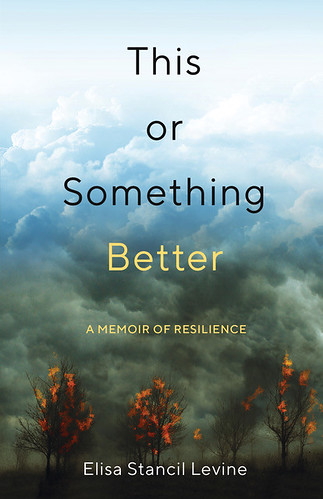 This or something better book cover by Elisa Stancil Levine