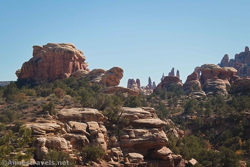 Wild and crazy rock formations, Needles District, Canyonlands National Park, Utah
