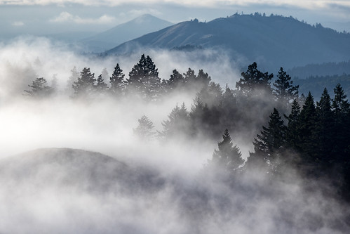 Marin Hills by Kirk Lougheed, Mount Tamalpais, California

A view of the ridges and peaks of the Marin Hills to the north of Mt Ta