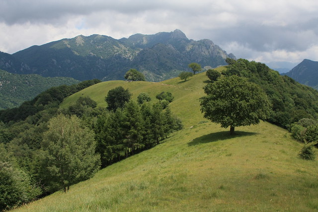 Green landscape in Valsolda