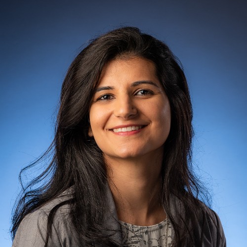 Ashima Sangwan, Research and Innovation Services