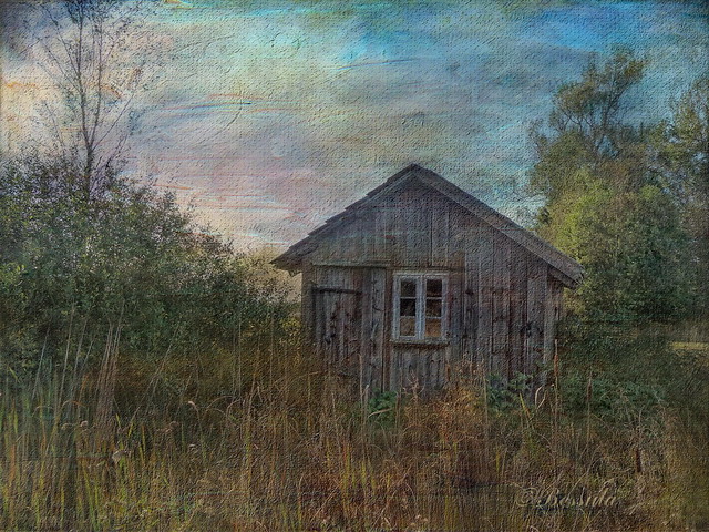 Abandoned hut.