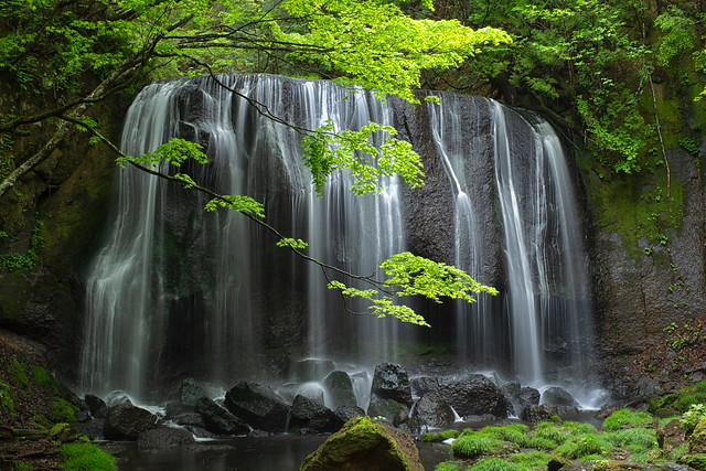 Fresh green of waterfall