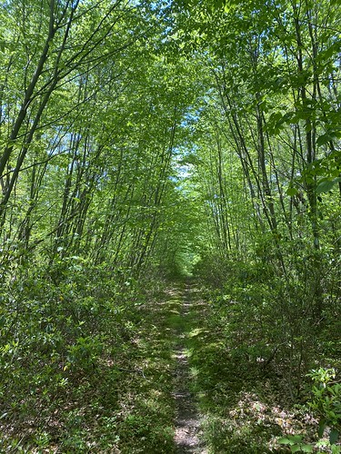 Tuscarora Trail