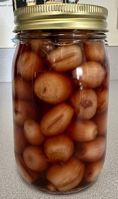 English Pickled Onions (Explore)