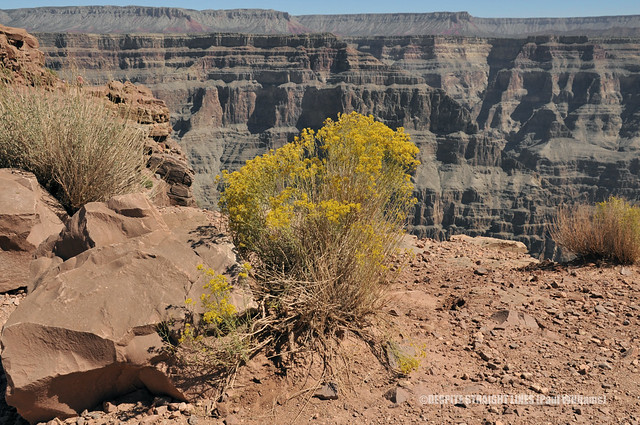 Guano point on the West rim of Ongtupqa (The Grand Canyon) -  (Published by GETTY IMAGES)