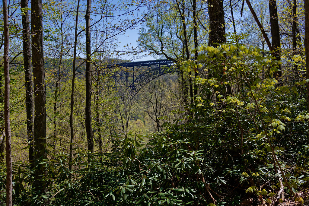 Beyond the Forest and the New River Gorge Bridge