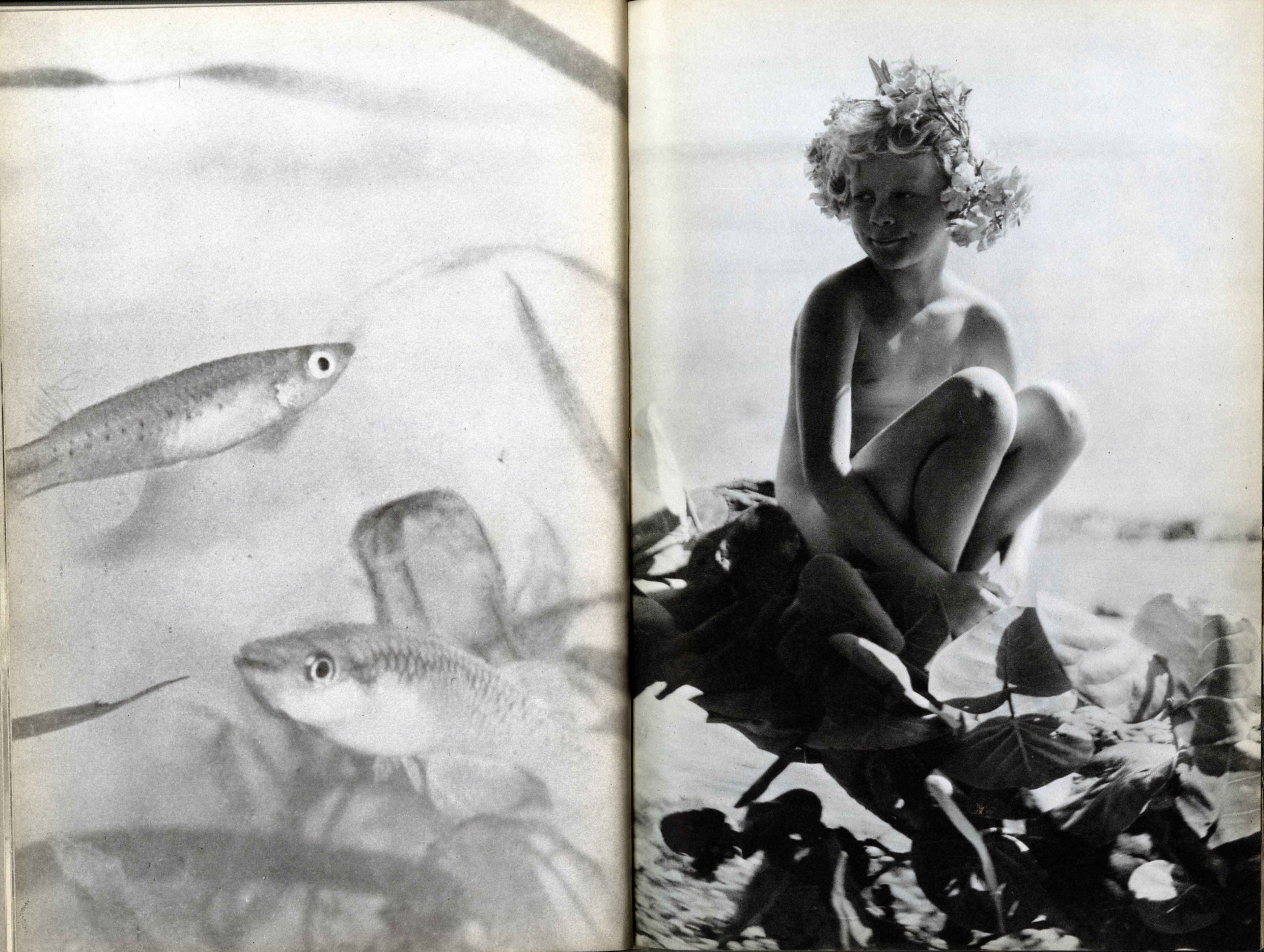 Nell Dorr - Nell Koons :: from "In a Blue Moon", published by G. P. Putnam’s Sons in 1939.