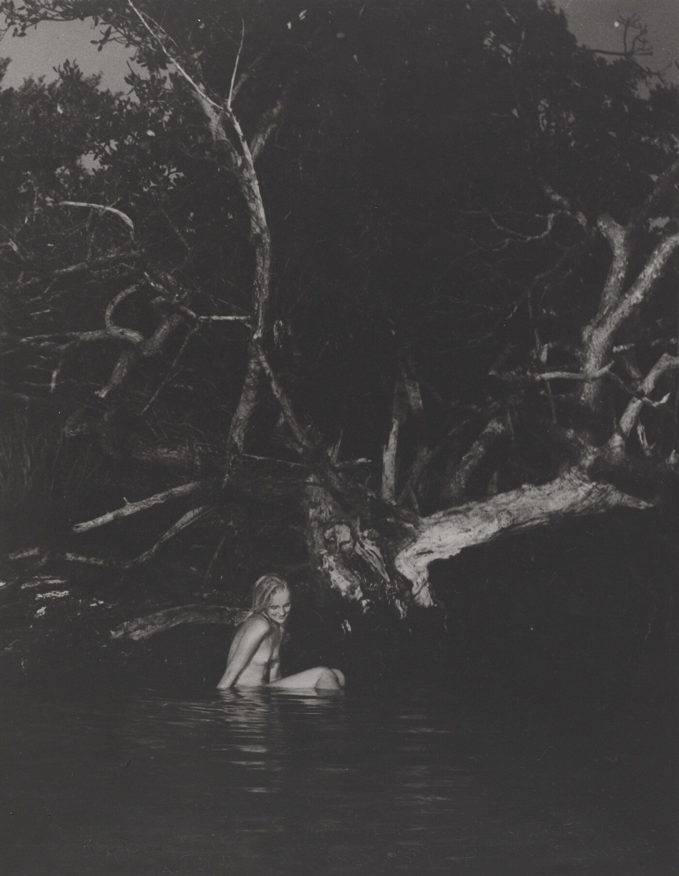 Nell Dorr :: The Secret Pool, 1928. # 18 also # 58, From In a Blue Moon, published 1939. Amon Carter Museum