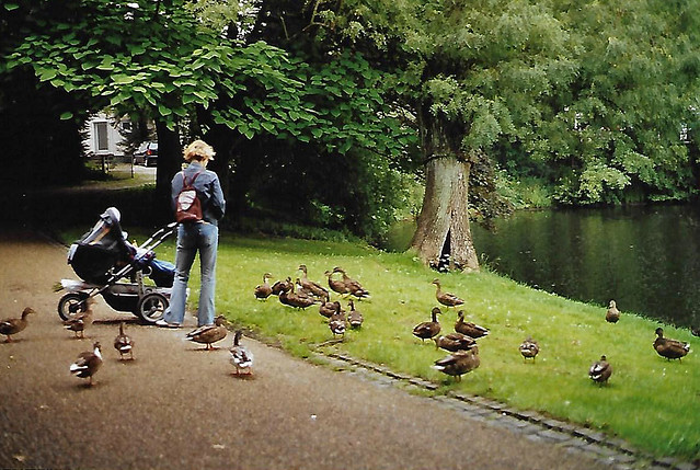 Bremen, Am Wall, Entenfütterung (feeding the ducks)