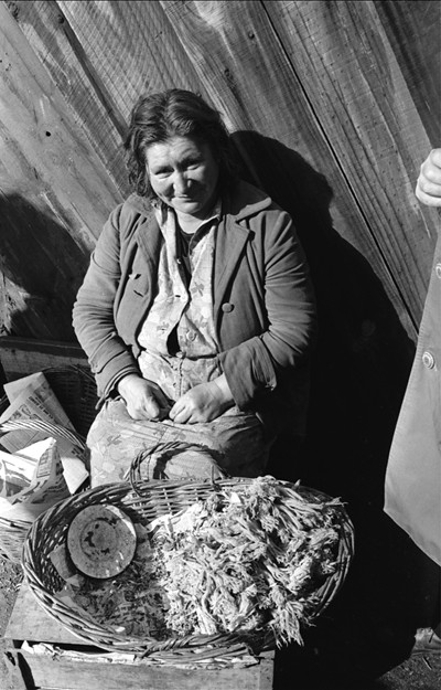 Vendedora con su canasto  de Changle, hongo de la zona de Lota, es el  changle o chandi, también llamado manecillas   1972