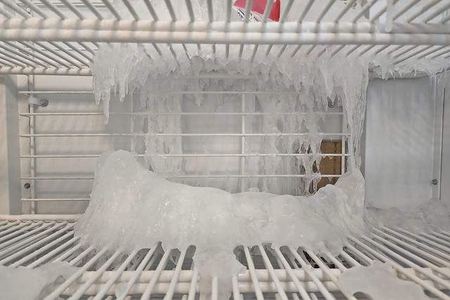 Ice buildup in a freezer [02]