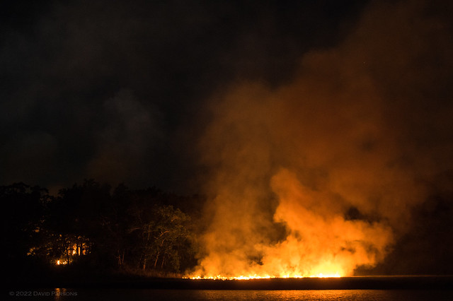 Fire on Pine Island