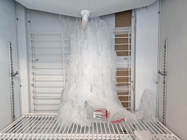 Ice buildup in a freezer [01]