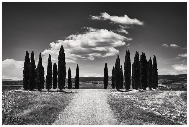 Ring of Cypresses