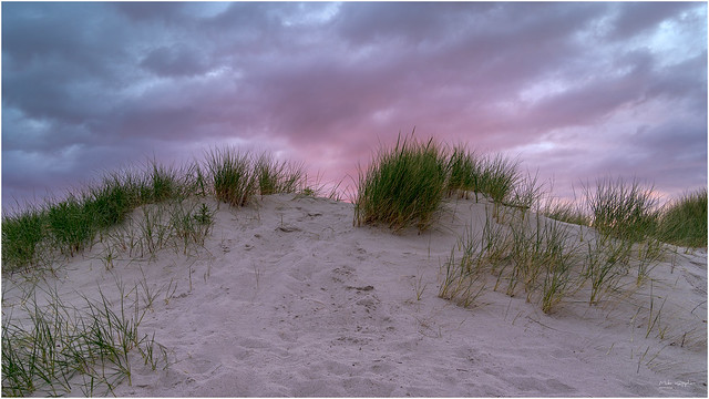 Sunset & Sand Dune