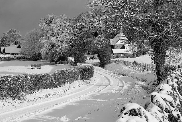Snow Along Frensham Lane