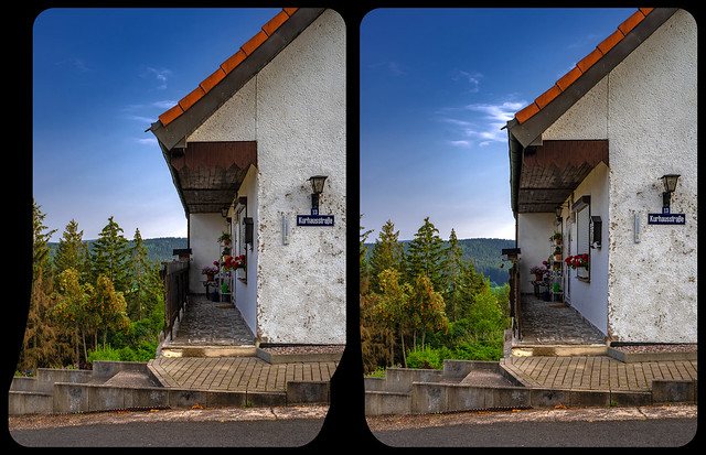 Living with vista 3-D / CrossView / Stereoscopy