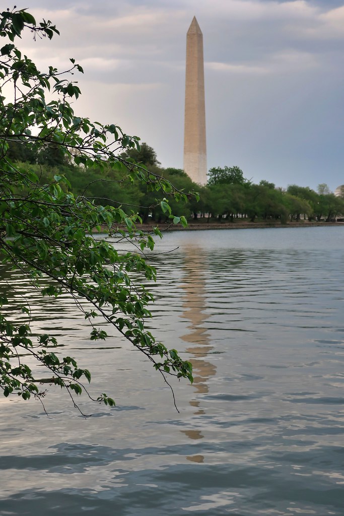 DC: Washington Monument - View from Tidal Basin