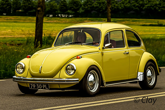 Volkswagen Typ 1 Beetle 1970 (3384)