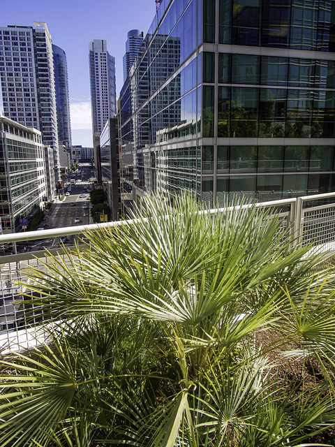 View from Transbay Terminal Rooftop Garden, San Francisco