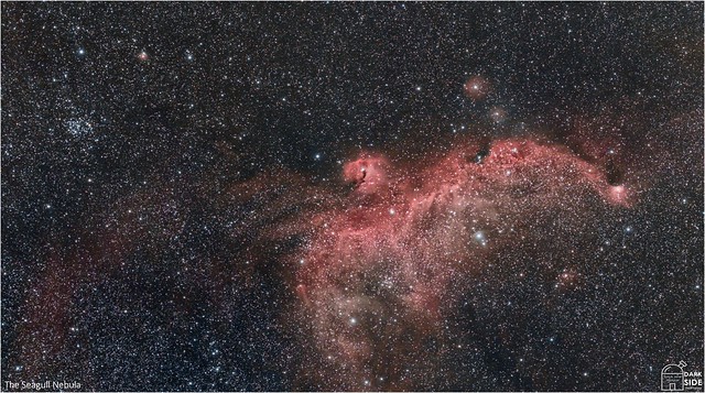 IC2177 and the Seagull Nebula Region