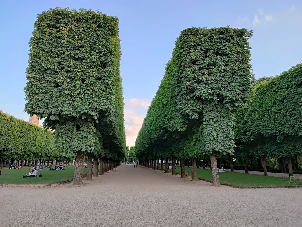 שדרות עצים גני לוקסמבורג פריז פארקים גנים פארק גן הפארקים הגנים בפריז אסף הניגסברג