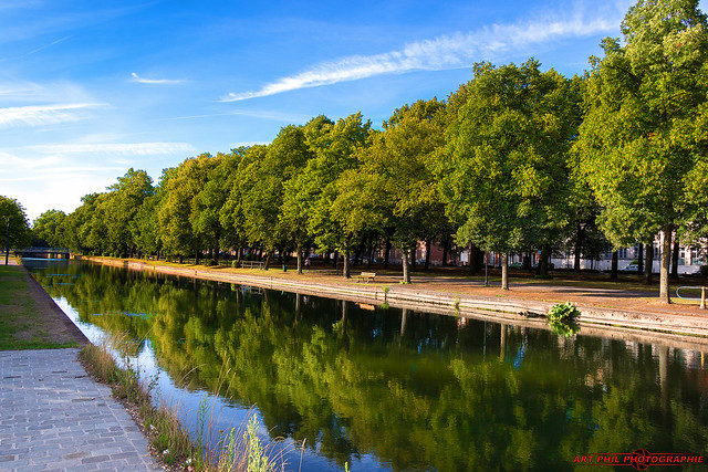 Paysages et Nature- Canal du Ramponnau Lille (1)