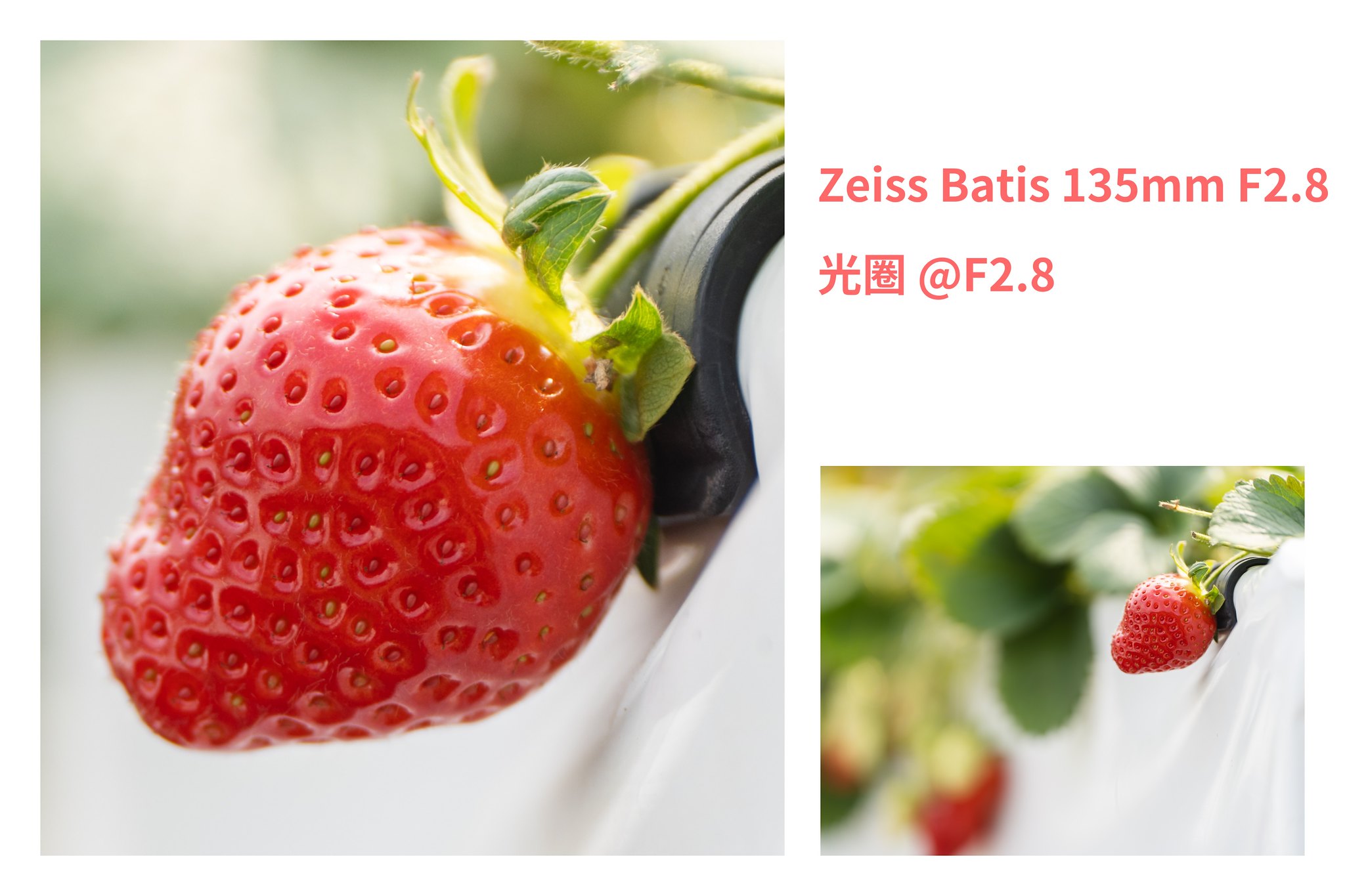 精準而澄澈的凝視：Zeiss Batis 135mm F2.8 | 12