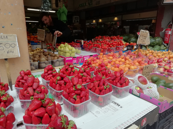 fraises italiennes