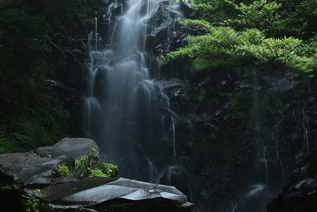 Deep in the forest, 飛龍の滝, Hiryuu waterfall.