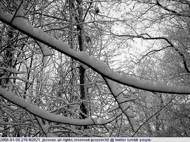 2005-01-08 278 Winter in Indiana - Southeastway Park [black & white]