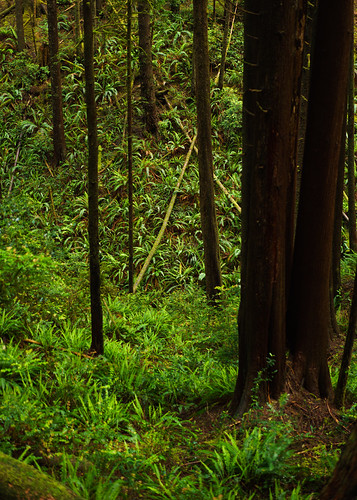 Untitled | by Jacob_Edwards