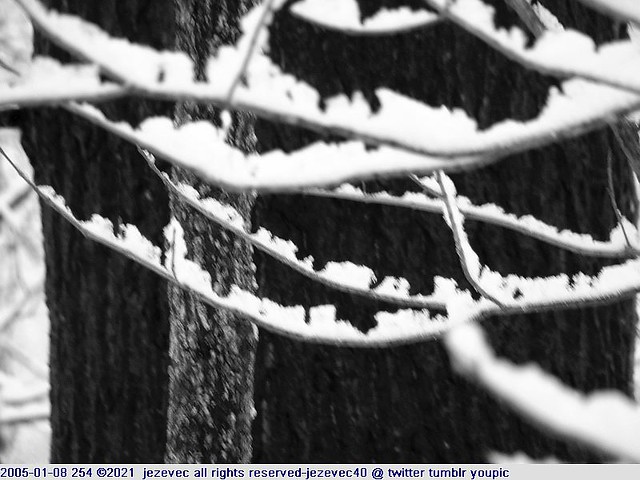 2005-01-08 254 Winter in Indiana - Southeastway Park [black & white]