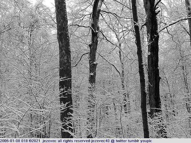 2005-01-08 018 Winter in Indiana - Southeastway Park [black & white]