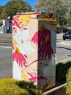 Painted Utility Box -Christina Kwan