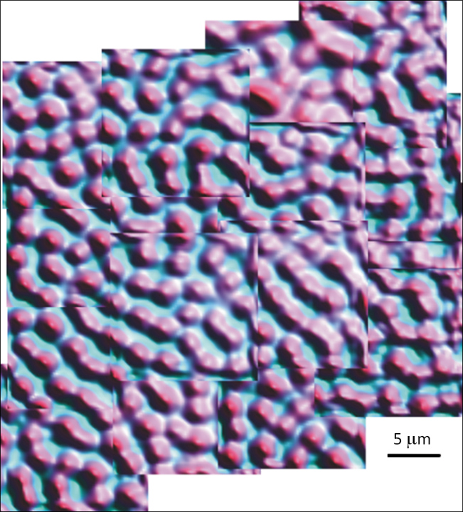 A scanning Hall probe image showing superconducting vortices in a magnesium diboride thin film at low temperatures.