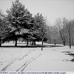 2005-01-08 370 Winter in Indiana - Southeastway Park [black & white]